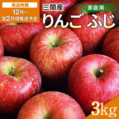 三関産 りんご ふじ 家庭用 3kg[J15102]