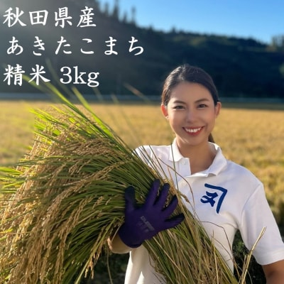  【米農家直送】特Aランク厳選秋田県産あきたこまち【白米3kg】[B2313]