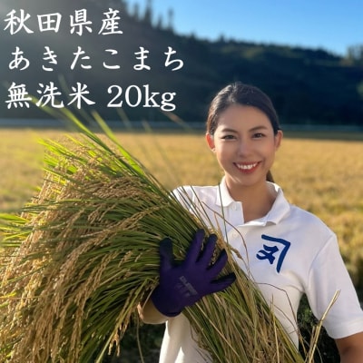 【米農家直送】特Aランク厳選秋田県産あきたこまち【無洗米20kg】[O2302]