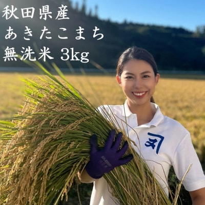 【米農家直送】特Aランク厳選秋田県産あきたこまち【無洗米3kg】[B2314]