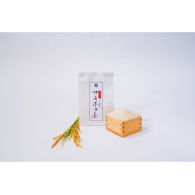 【希少品種】【特別栽培米】秋田県産サキホコレ 精米【2kg】[B1-2301]