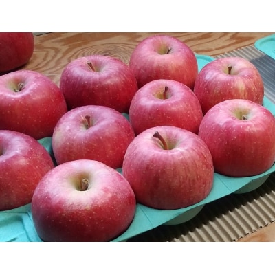 湯沢市三関産 りんご(ふじ) 家庭用 訳あり 5kg[B2804]