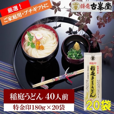 稲庭うどん 特金印 180g×20袋 40人前[H1001]