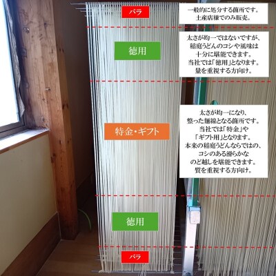 稲庭うどん 特金印 180g×20袋 40人前[H1001]