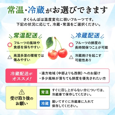 【先行予約】三関産 さくらんぼ 紅秀峰 500g 秀品 2L 常温 果物 [B5-3206]