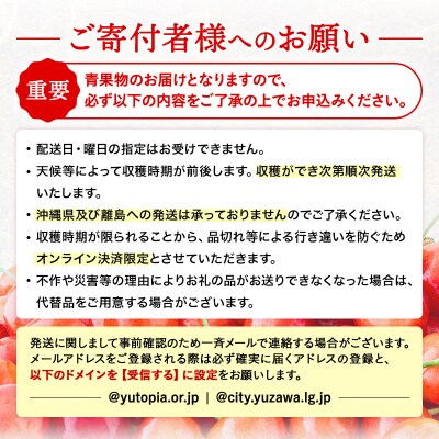 【先行予約】三関産 さくらんぼ 紅秀峰 500g 秀品 2L 冷蔵 果物 [B6-3203]