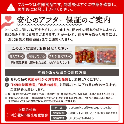 【先行予約】三関産 さくらんぼ 紅秀峰 500g 秀品 2L 冷蔵 果物 [B6-3203]
