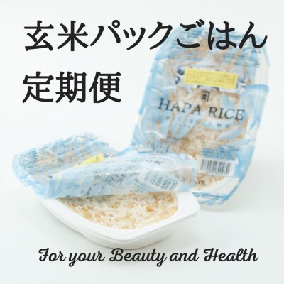 【定期便】あきたこまち玄米パックごはん 6ヵ月 144食分【パックごはん乳酸菌入り】[E2304]