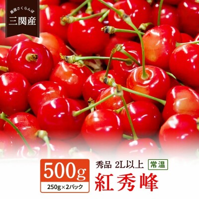 三関産 さくらんぼ 紅秀峰 500g(250g×2) 2L以上[B5-14602]