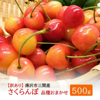 三関産 さくらんぼ 訳あり 500g(250g×2)佐藤錦 紅秀峰 サイズ混合[B14605]