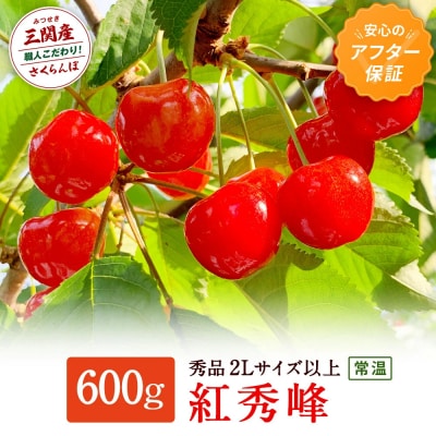 三関産さくらんぼ「紅秀峰」600g 秀2L以上[H7801] 