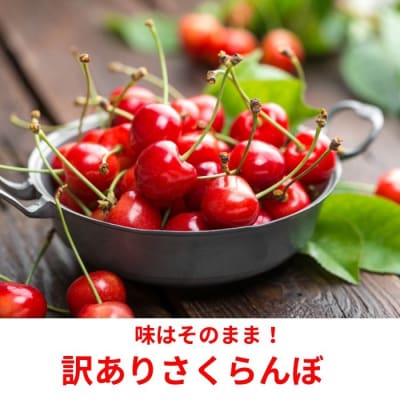 朝採れ 訳あり さくらんぼ 400g パック入り 秋田県産[L9907]