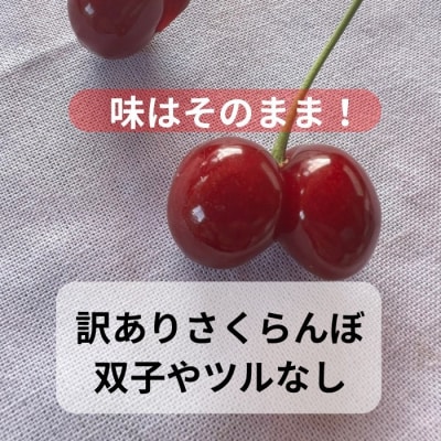 朝採れ 訳あり さくらんぼ 400g パック入り 秋田県産[L9907]