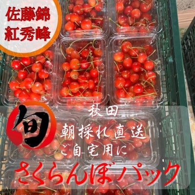 朝採れ さくらんぼ 秋田県産 パック入り 200g×2[B9919]
