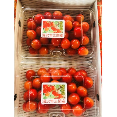 朝採れ さくらんぼ 秋田県産 パック入り 200g×2[B9919]