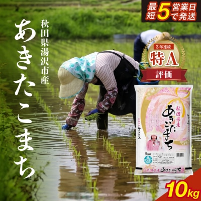 令和7年産　秋田県産あきたこまち　精米10kg[B9-17201]