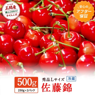 三関産 さくらんぼ 佐藤錦 250g×2(秀Lサイズ)[B4-3203]