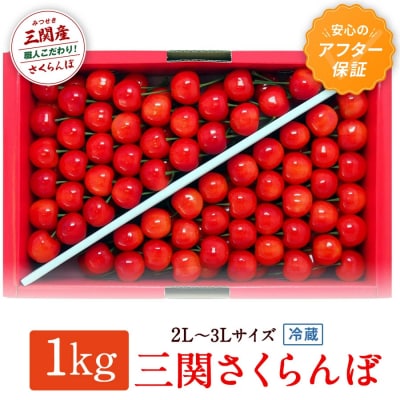三関さくらんぼ 3L/2Lサイズ 1000g[C2-8701]