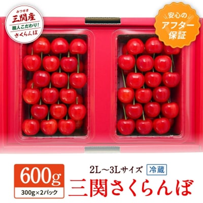 三関さくらんぼ 3L/2L 600g[H2-8701]