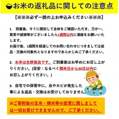 令和7年産　秋田県産あきたこまち　精米10kg　4ヶ月定期便[I4-17201]