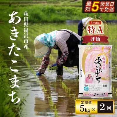 令和7年産　秋田県産あきたこまち　精米5kg　2ヶ月定期便[H17201]