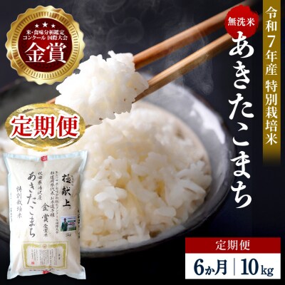 【定期便6ヶ月】【令和7年産】特別栽培米あきたこまち無洗米10kg[F2128]