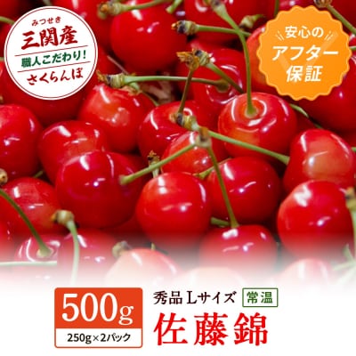 【令和9年産先行受付・常温配送】さくらんぼ　佐藤錦　秀品　Lサイズ　250g×2[B3-15101]