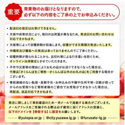 【令和9年産先行受付・常温配送】さくらんぼ　佐藤錦　秀品　Lサイズ　250g×2[B3-15101]