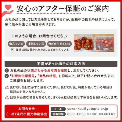 【令和9年産先行受付・常温配送】さくらんぼ　佐藤錦　秀品　Lサイズ　250g×2[B3-15101]