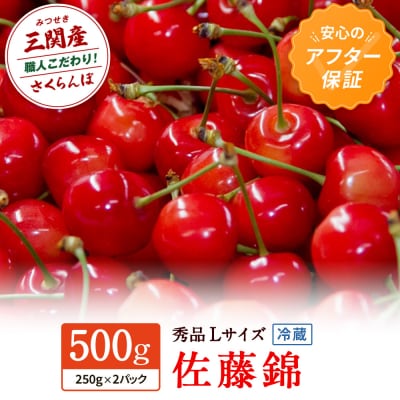 【令和9年産先行受付・冷蔵配送】さくらんぼ　佐藤錦　秀品　Lサイズ　250g×2[B4-15101]