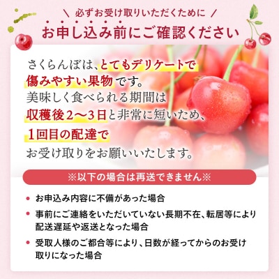 【令和9年産先行受付・冷蔵配送】さくらんぼ　佐藤錦　秀品　Lサイズ　250g×2[B4-15101]