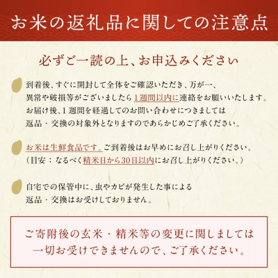 【定期便6ヶ月】令和8年産 秋田県湯沢市産 あきたこまち 無洗米 10kg[F15702]