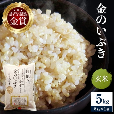 【令和8年産】特別栽培米 金のいぶき 玄米 5kg[B9-2102]