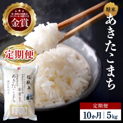 【定期便10ヶ月】【令和8年産】特別栽培米 あきたこまち 精米 5kg[F2135]