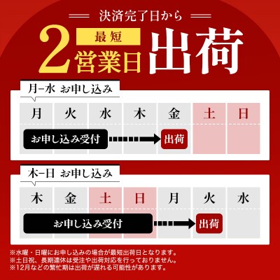 【定期便12ヶ月】稲庭古来うどん　短寸400g×2袋[N8-1401]