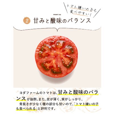 【2023年4月中旬より順次発送】旨味がじゅわっと溢れ出る!樹上完熟トマト約2Kg
