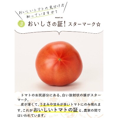 【2023年4月中旬より順次発送】旨味がじゅわっと溢れ出る!樹上完熟トマト約2Kg