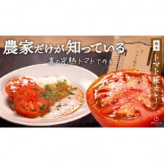 無水トマト糀カレー　20パック