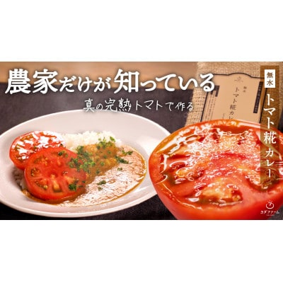 無水トマト糀カレー　20パック