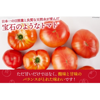 【2026年発送　先行受付】【秋作】【訳あり】桃太郎トマト 約2kg　