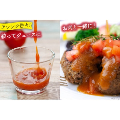 【2026年発送　先行受付】【秋作】【訳あり】桃太郎トマト 約2kg　