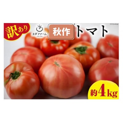 【2026年発送　先行受付】【秋作】【訳あり】桃太郎トマト 約4kg　