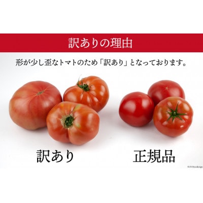 【2026年発送　先行受付】【秋作】【訳あり】桃太郎トマト 約4kg　