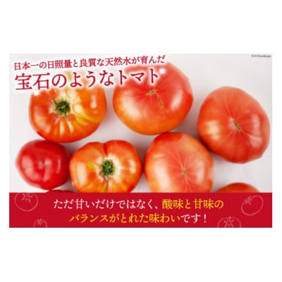 【2026年発送　先行受付】【秋作】トマト 桃太郎約1kg