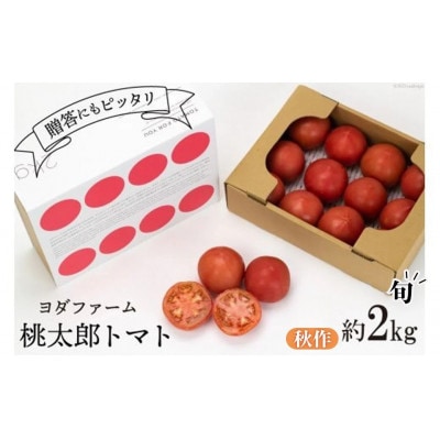 【2026年発送　先行受付】【秋作】トマト 桃太郎 約2kg