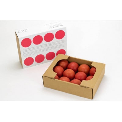 【2026年発送　先行受付】【秋作】トマト 桃太郎 約2kg