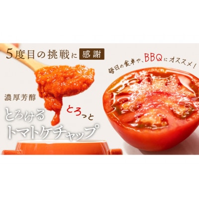 トマト塩糀 トマトBBQソース トマトケチャップ トマトジュース 4種詰め合わせセット