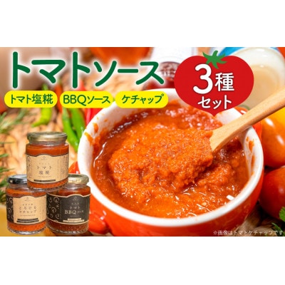 トマトソース3種詰め合わせセット(トマト塩糀、BBQソース、ケチャップ)各180g×1本