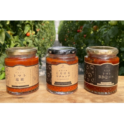 トマトソース3種詰め合わせセット(トマト塩糀、BBQソース、ケチャップ)各180g×1本