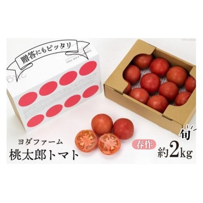 【2026年発送　先行受付】【春作】トマト 桃太郎 約2kg